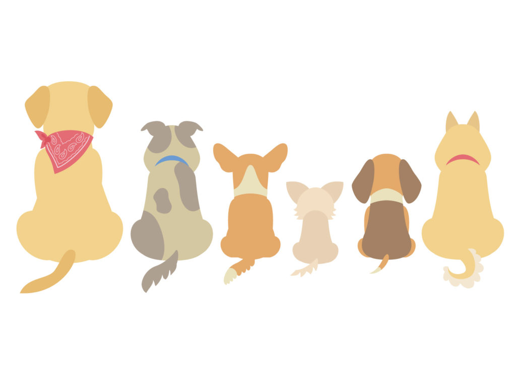 犬後ろ姿